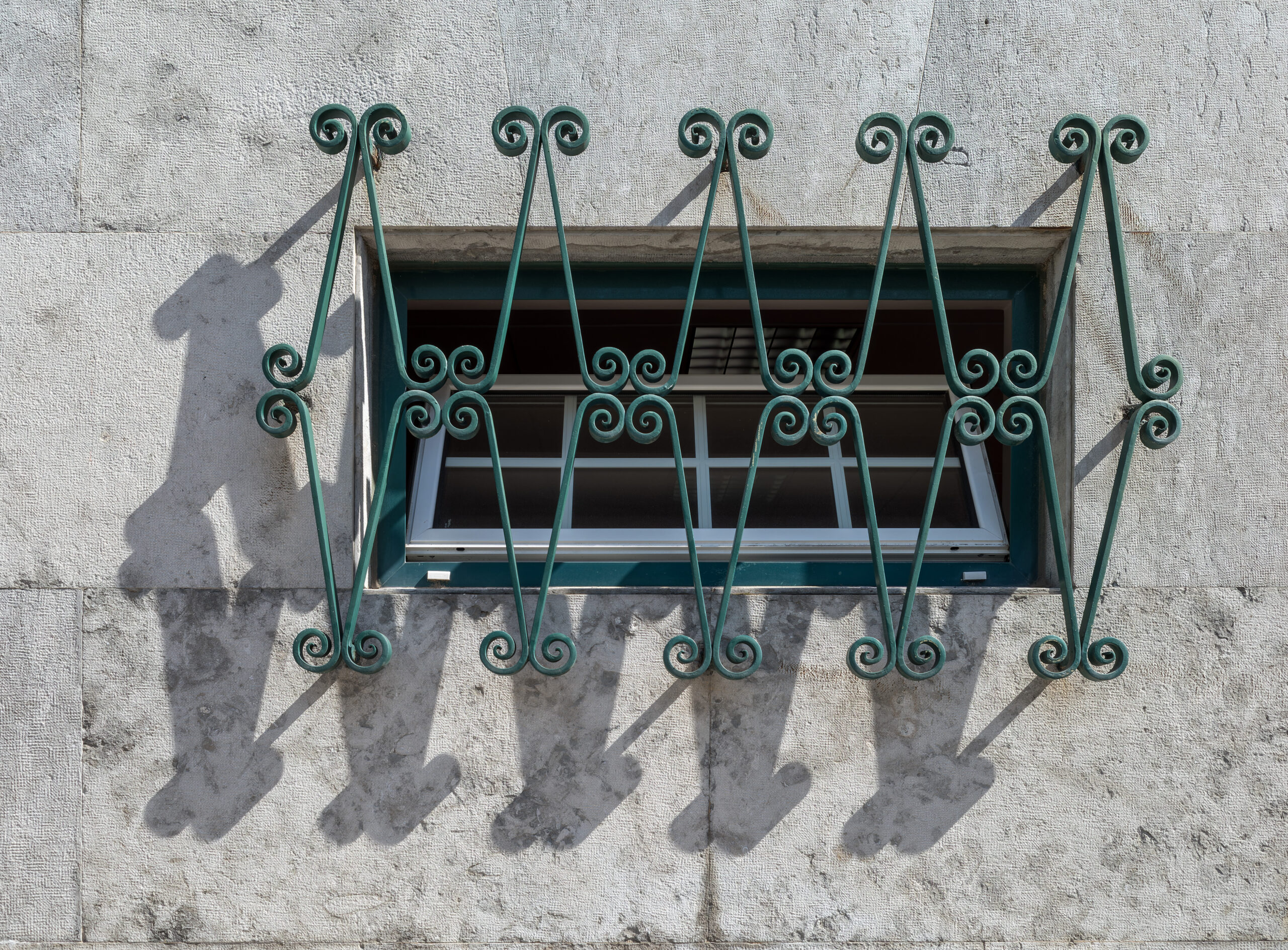 Reja fija de seguridad serie Ébano